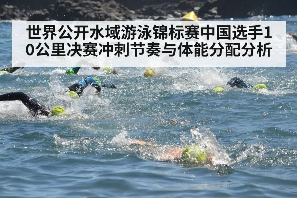 世界公开水域游泳锦标赛中国选手10公里决赛冲刺节奏与体能分配分析
