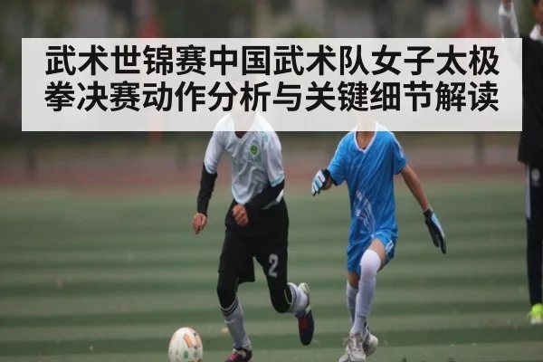 武术世锦赛中国武术队女子太极拳决赛动作分析与关键细节解读