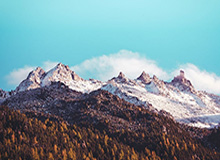 开云登录-国安官方：巴坎布今日下午前往民主刚果国家队报到